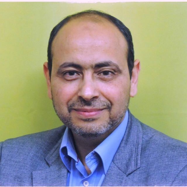 Professor Hany Eldeeb