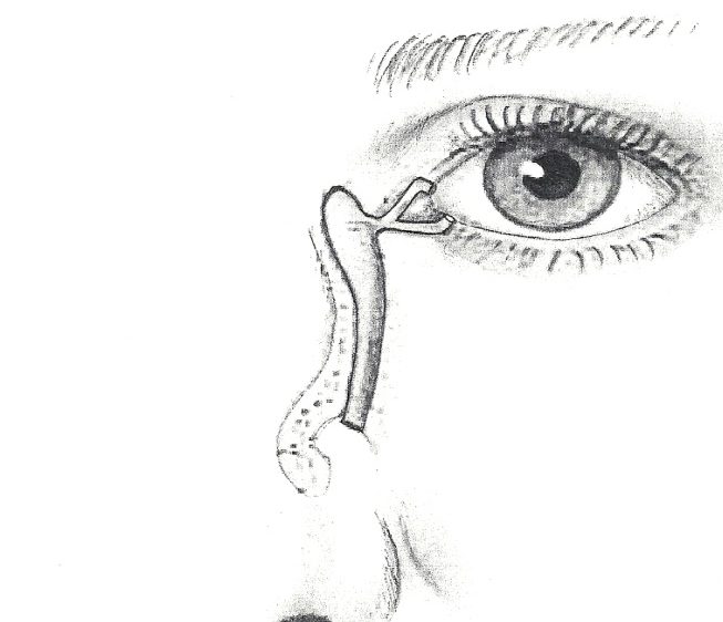 How much time on an average, does it take to draw the eyes of a pencil  portrait drawing? - Quora