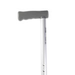 Walking stick
